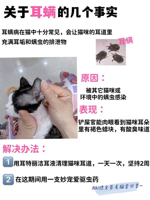 耳中取出活体猫螨虫,耳中取出活体猫螨虫怎么办